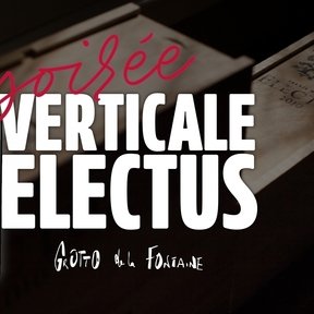 16x9 - header - verticale electus_24